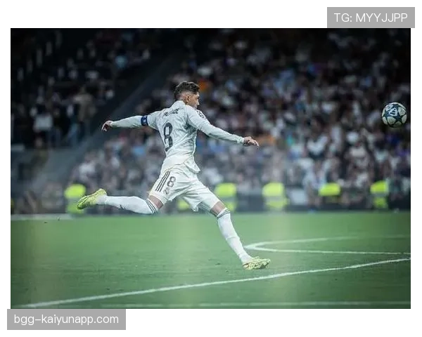 巴尔韦德欧冠夺冠主力登顶欧洲的关键作用解析