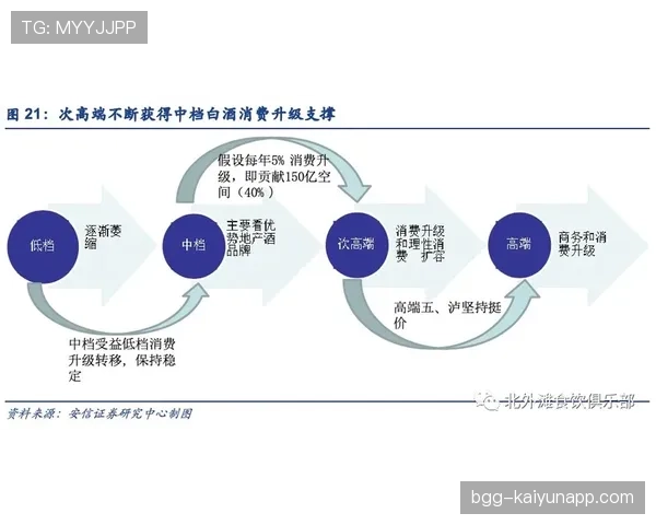 杜埃职业生涯上限与成长空间的关键制约因素分析